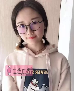 佛山禅城小野猫