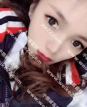 湖里区小野猫值得一试